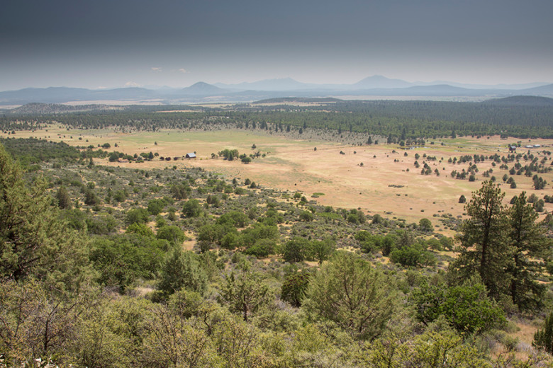 Lassen County and the Sojourns of Wolf OR-7 Lassen County and the Sojourns of Wolf OR-7